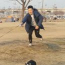 개끌림 이미지