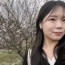 네일비브 네이버블로그