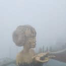 파오스 이미지