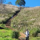 능전주차장 이미지