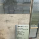 월현대산공원 | 나주 애견 카페 3곳 후기 / 카페 12.21, 놀멍쉬멍, 플레이그라운독
