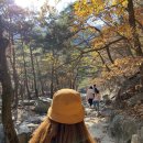 선비고을가든 이미지