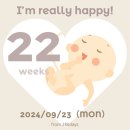 [09.23-09.29] 임신 22주차, 고구마체험🍠, again 독점육아(?), 임장
