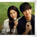 김밥에반하다 - 파주시 가람로 113 | 김밥에반하다