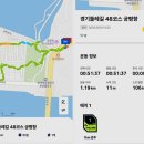 궁평항로 이미지