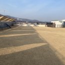 스코니 네이버블로그