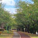 갈맷길(6코스) 이미지