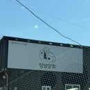 원주 댕댕상회 소형견 강아지 와그웨어 신발 구경하기 🐶