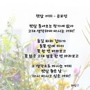 햇살커피