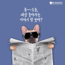 04월 08일 주요신문 헤드라인 이미지