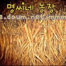 인의농장 이미지