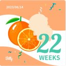 업PC카페 아산신창점 | 분당 제일 여성 병원 조기 수축 입원 후기 (21w/ 야간 응급 진료, 입원, 라보파 반동)