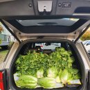 수복얼큰감자탕 | 꽉찬 11월