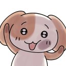 멍구멍구 | 내가 묘냥이와 멍구 굿즈에게 간다🐱🐶