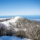 24.01 제주 셋째날 언제가도 좋은 한라산 1 이미지