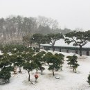 납골탑공원 네이버블로그