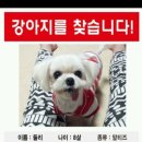 대전국제통상고등학교 이미지