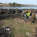 한국맥도날드제주 이미지