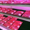 도사동사무소 이미지