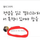 캘리그라피(주말) 이미지