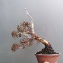 작게작게