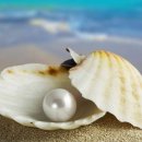 경북자연과학고등학교 이미지