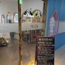 MS. & DOG | [애견카페] 경북도청신도시 _ 미스앤독(ms.&amp;dog) 다녀온 후기.