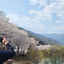 타임스토리펜션 | 소백산 캠핑 가족 캠퍼 추천, 힐링스토리펜션&amp;야영장 솔직후기