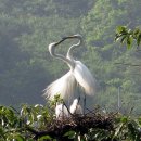 백로마을 이미지