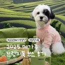 COZY 멍 | 2025 메가주 브릿지독 부스 후기 feat. 브릿지독 식꾸 | 브릿지독 신상 말차 | 2025 메가주 일산 킨텍스