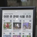 (주)산채원
