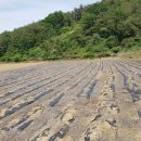 민가농장 이미지