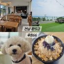 루트66 | 완도애견동반카페 루트66 완도오션뷰카페 황칠 빙수