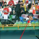 짱 이미지