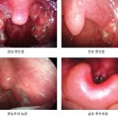 제주인제주