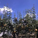 덕원모텔 이미지