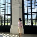 아마 유럽에서 가장 내 취향인, 비엔나