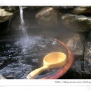 울안농장 이미지