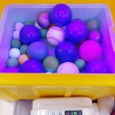 문창초교병설 이미지