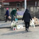 그린장 이미지