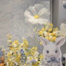 포포인츠바이쉐라톤호텔명동 | 포포인츠 바이 쉐라톤 명동 호텔 돌잔치 후기: 아이첫상으로 완벽했던 첫 번째 생일