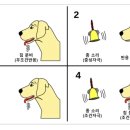 사람이 죽는 이유?.. 흔히 쉽게 빠지는 인식의 함정 이미지