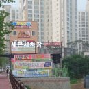 보보스뷰티 이미지