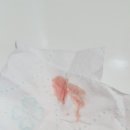 성서종합동물병원