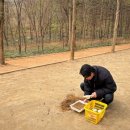 도심공원 이미지