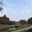 페리카나 군포점 | 굴이 왔어요