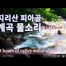 ♬ 지리산 계곡 물소리 8시간 - 10분 후 검은화면｜피아골, 지리산에서 가장 맑고 깨끗한 계곡 이미지
