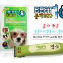 레인마켓