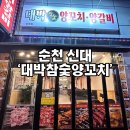 대박양꼬치 | 순천 신대지구 맛집:) 대박참숯양꼬치,양갈비 가성비 맛집 솔직후기