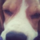 금정세탁소 이미지